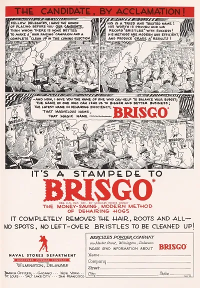 Its A Stampede To Brisgo