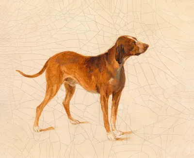 Jagdhund