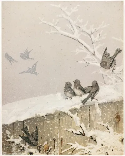 January Ii