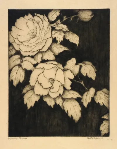 Japanese Peonies