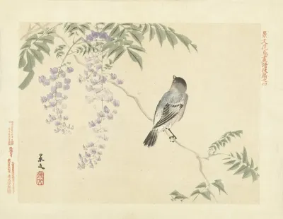 Japanese Wisteria And Eurasian Bullfinch