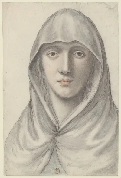 Jeune Femme Portant Un Voile Vue De Face