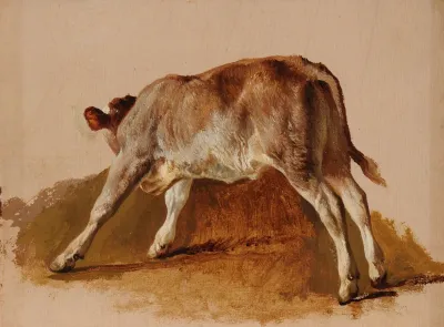 Jeune Veau