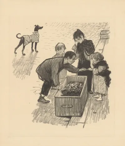Jolie Societe