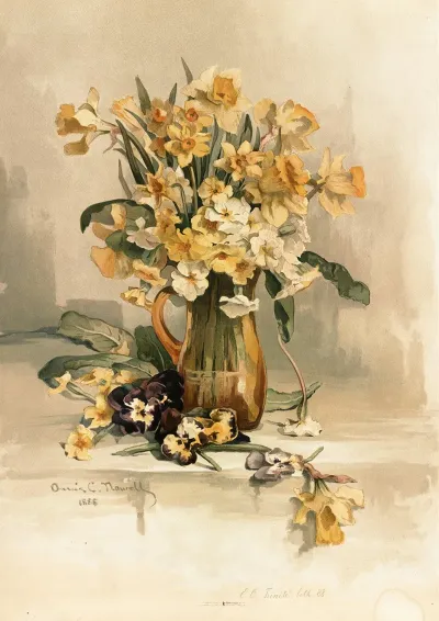 Jonquils