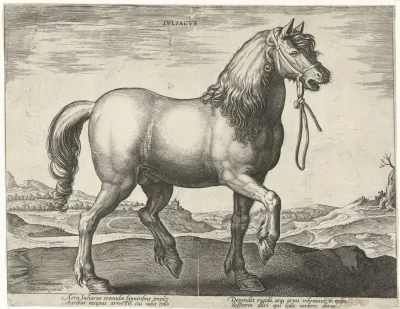 Juliacus