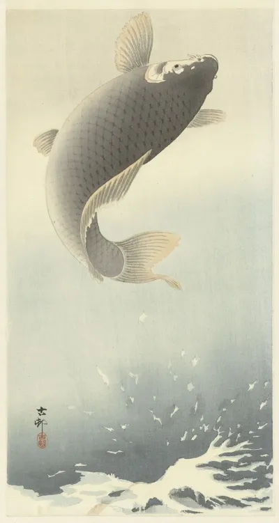 Jumping Carp