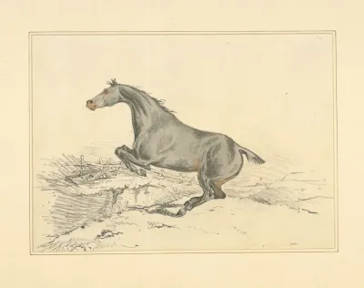 Jumping Horse