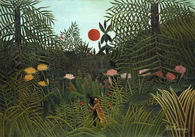 Jungle With Setting Sun