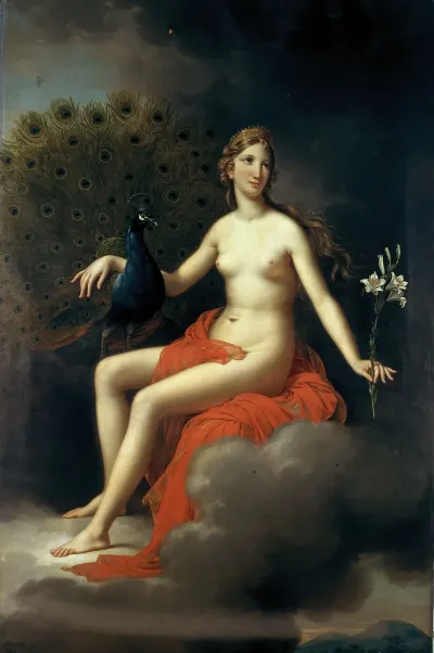 Juno 5