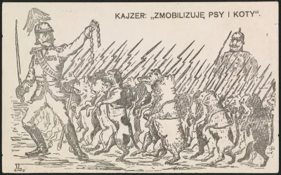 Kajzer Zmobilizuje Psy I Koty