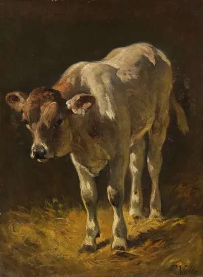 Kalb Im Stall