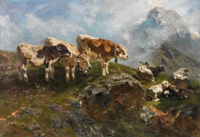 Kalber Und Schafe Im Hochgebirge