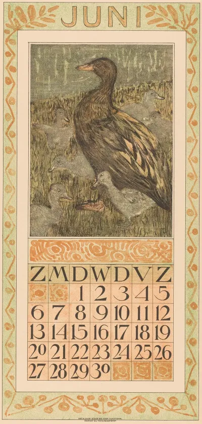 Kalenderblad Juni Met Eend Met Kuikens