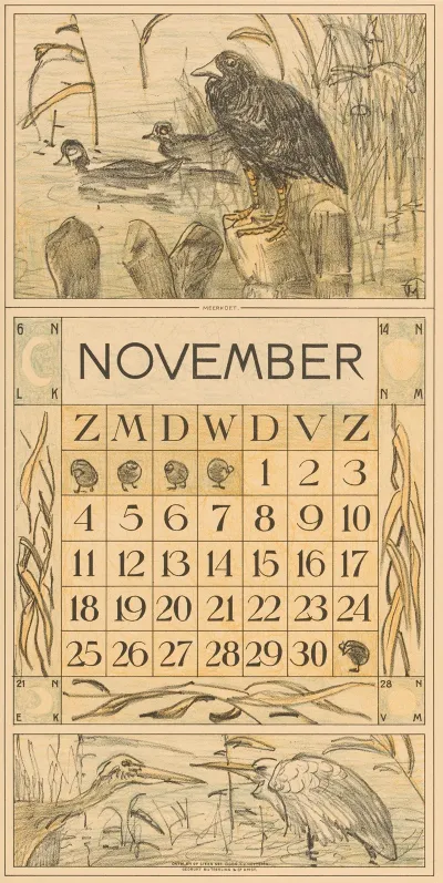 Kalenderblad November Met Meerkoet Op Een Paal
