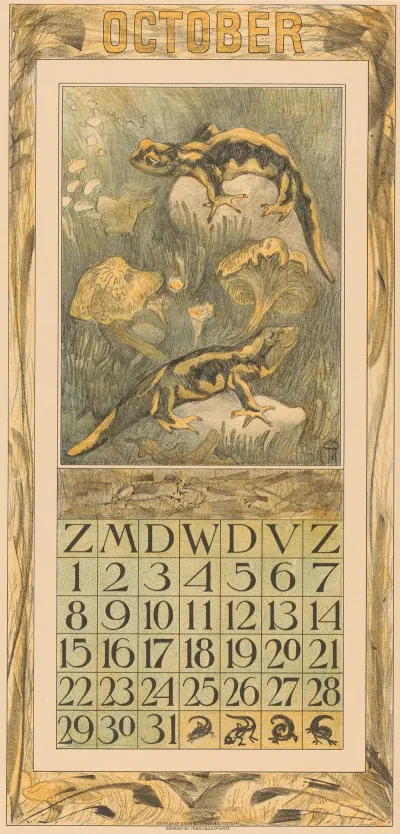 Kalenderblad Oktober Met Salamanders