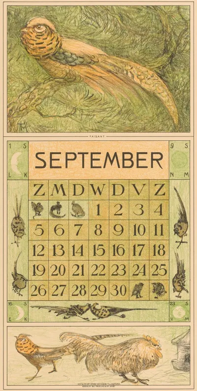 Kalenderblad September Met Goudfazant