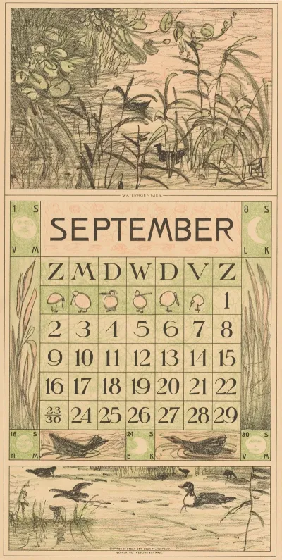 Kalenderblad September Met Watervogels Tussen Het Riet