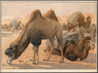 Kamel