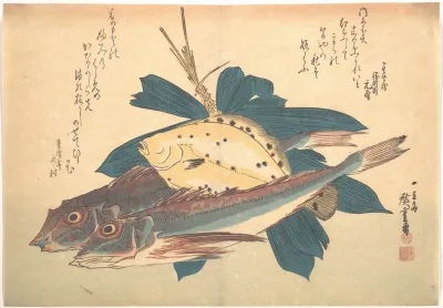 Kanagashira And Karei Fish
