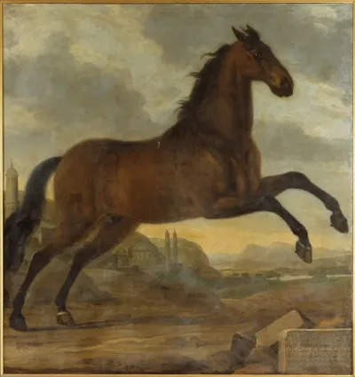Karl Xis Livhast Sultan
