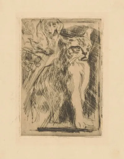 Kat 2