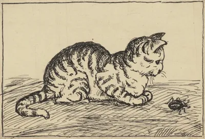 Katze