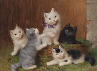 Katzenkinder