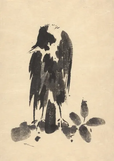 Kauw 2