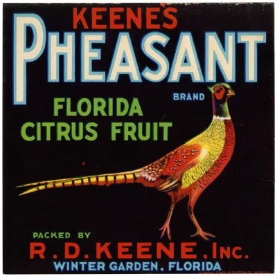 Keenes Pheasant Brand Florida Citrus Fruit Label 2