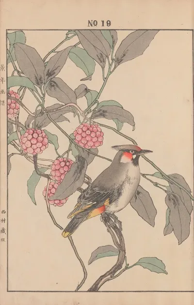 Keinen Kacho Gafu Pl 021