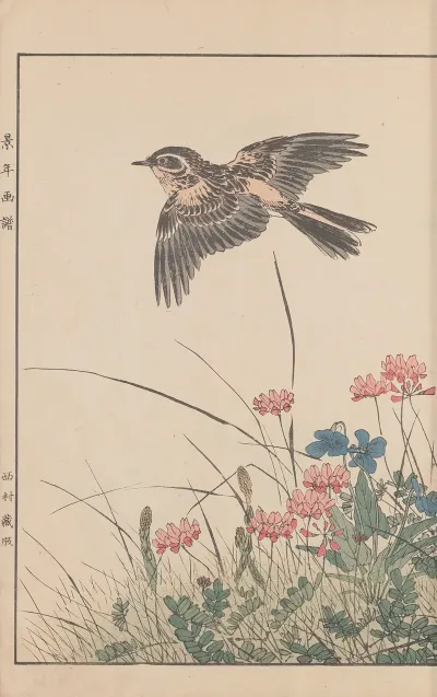 Keinen Kacho Gafu Pl 055