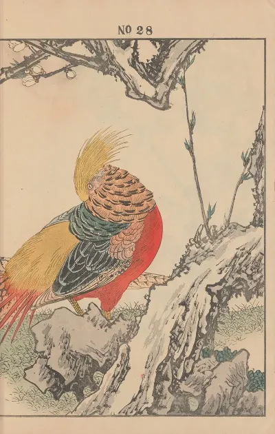 Keinen Kacho Gafu Pl 078