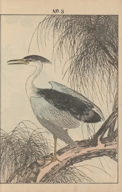 Keinen Kacho Gafu Pl 086