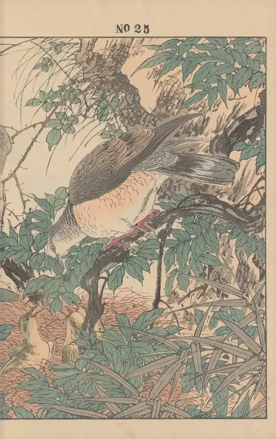 Keinen Kacho Gafu Pl 114