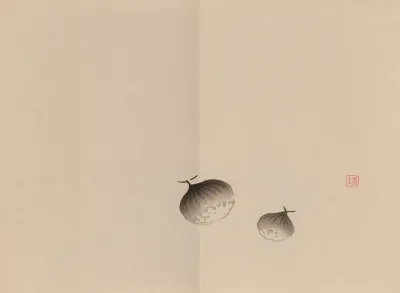 Keinen Shugajo Pl 02