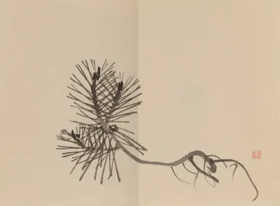 Keinen Shugajo Pl 07