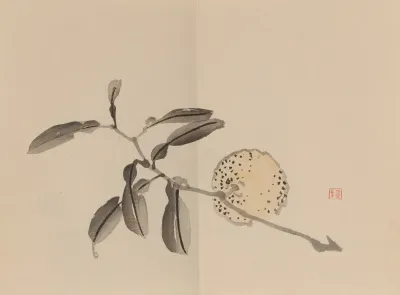 Keinen Shugajo Pl 09
