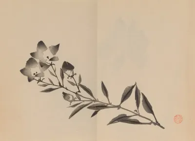 Keinen Shugajo Pl 22