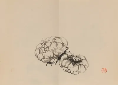 Keinen Shugajo Pl 23