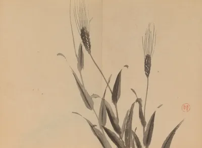 Keinen Shugajo Pl 25