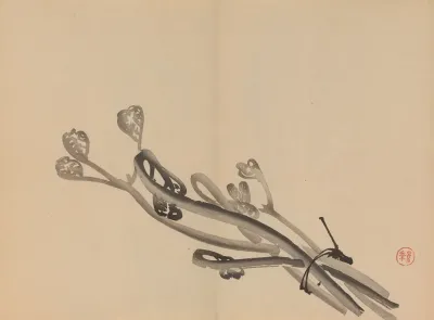 Keinen Shugajo Pl 26