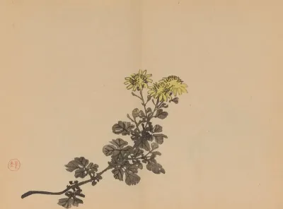Keinen Shugajo Pl 34