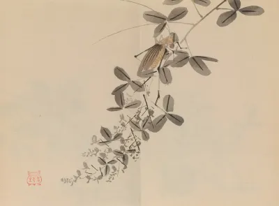 Keinen Shugajo Pl 40