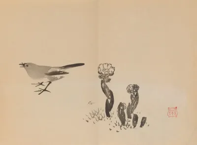 Keinen Shugajo Pl 46