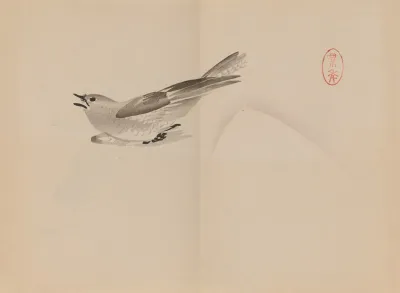 Keinen Shugajo Pl 53