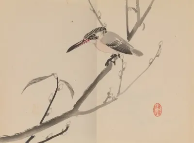 Keinen Shugajo Pl 64