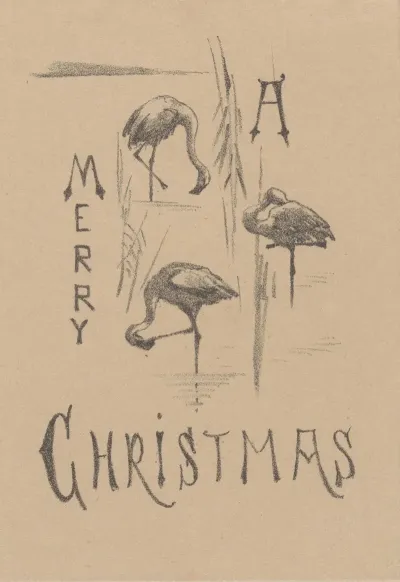 Kerstkaart Met Drie Flamingos