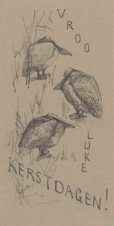 Kerstkaart Met Drie Pelikanen