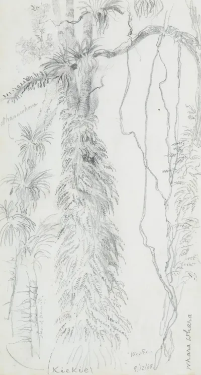Kiekie And Wharawhara At Westoe